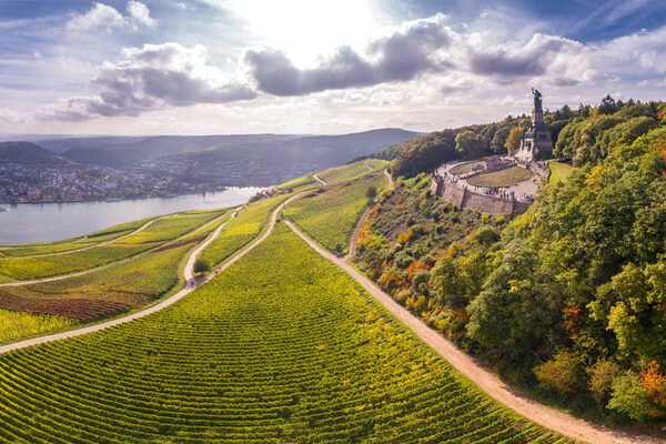 Weinregion Rheingau