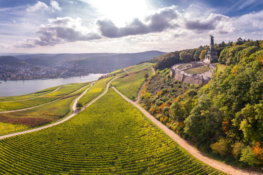 Región vinícola de Rheingau