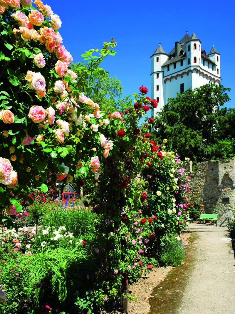Castillo de Eltville